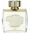 perfume Lalique Pour Homme