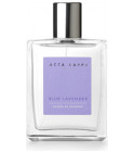 kenzo homme sport resenha