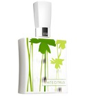 White Citrus Bath and Body Works