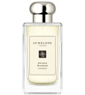 154 Cologne Jo Malone London perfume - a fragrance for women and 