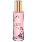 Seductive Musk