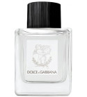 Dolce&Gabbana Perfume for Babies Dolce&Gabbana