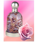 Halloween Man Halloween Colonia una fragancia para Hombres Halloween Man Halloween Colonia una fragancia para Hombres