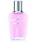 hollister wave 2 fragrantica