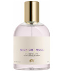 Midnight Muse H&M