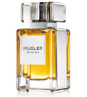 Un Air d'Apogée Maison Violet perfume - a fragrance for women and