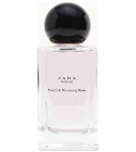 Zara Woman Peach & Blooming Rose Zara
