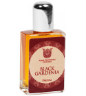 Indifférence for Men Panouge cologne - a fragrance for men 2006