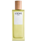Agua de Loewe Loewe