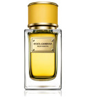 Velvet Bergamot Dolce amp Gabbana cologne a fragrance for