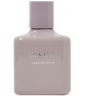 Zara - Weekend 01 - Pink Flambé 2021 » Reviews & Perfume Facts