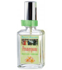 Frangipani fragrantica discount