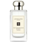 Nectarine Blossom & Honey Jo Malone London