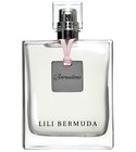 Bermudiana Lili Bermuda