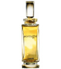 perfume Montaigne