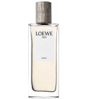 perfume Loewe 001 Man 
