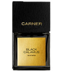 perfume Black Calamus