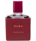 Zara Gardenia 2016 Zara