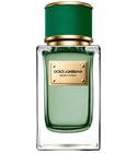 parfum Velvet Cypress