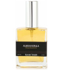 Wild Palermo Inspired by Xerjoff More Than Words 60 ml