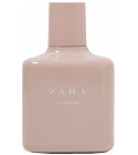 Pink Flambe Zara perfume - a fragrance for women 2018