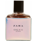 Orchid Intense 2017 Zara