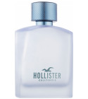 Hollister fragrantica best sale