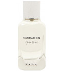 Cardamom - Gender Neutral Zara