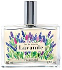 Lavande Fragonard