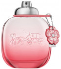 perfume Coach Floral Blush