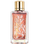 perfume Magnolia Rosae