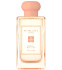 perfume Orange Blossom Cologne (2019)