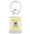 perfume Bloozberry