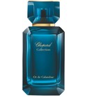 Or de Calambac Chopard