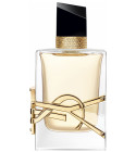 Libre Yves Saint Laurent