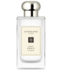 jo malone vetiver & golden vanilla cologne