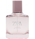 Pink Flambe Winter Zara perfume - a fragrance for women 2019