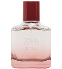 Zara Perfumes E Colônias