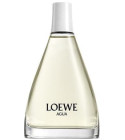 Agua 44.2 Loewe