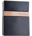 perfume Guess Seductive Noir Homme