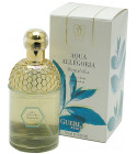 perfume Aqua Allegoria Mentafollia