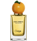 perfume Orange