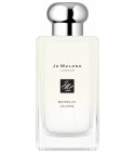 Yuja Cologne Jo Malone London perfume a fragrance for women and