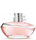 perfume Lily Absolu