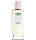perfume Loewe 001 Man EDT Special Edition