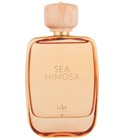Sea Mimosa