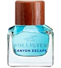 Hollister Canyon Escape Man