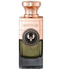 Amber Aquilaria Electimuss perfume - a fragrance for women and men 