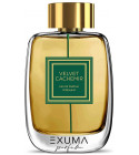Velvet Cachemir Woman Exuma Parfums