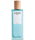 perfume Agua de Loewe El
